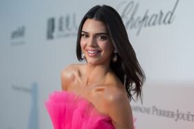 Kendall Jenner Smiling Pink Tulle Dress amfAR Cannes Gala 2019