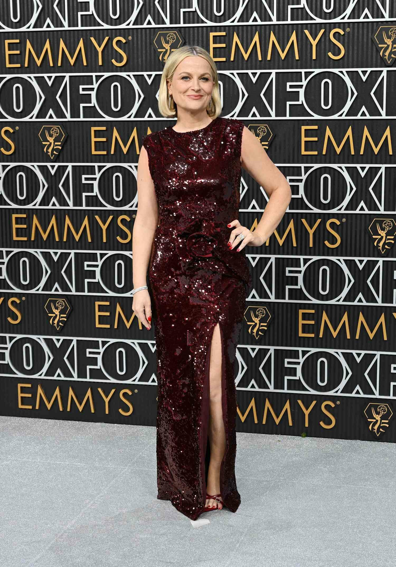 Emmy Red Carpet 2024 Amy Poehler
