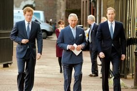 Prince Harry, King Charles and Prince William, Duke of Cambridge