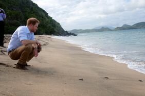 The Nevis Turtle Group conservation initiative is dedicated to developing a Sea Turtle Conservation Programme in Nevis